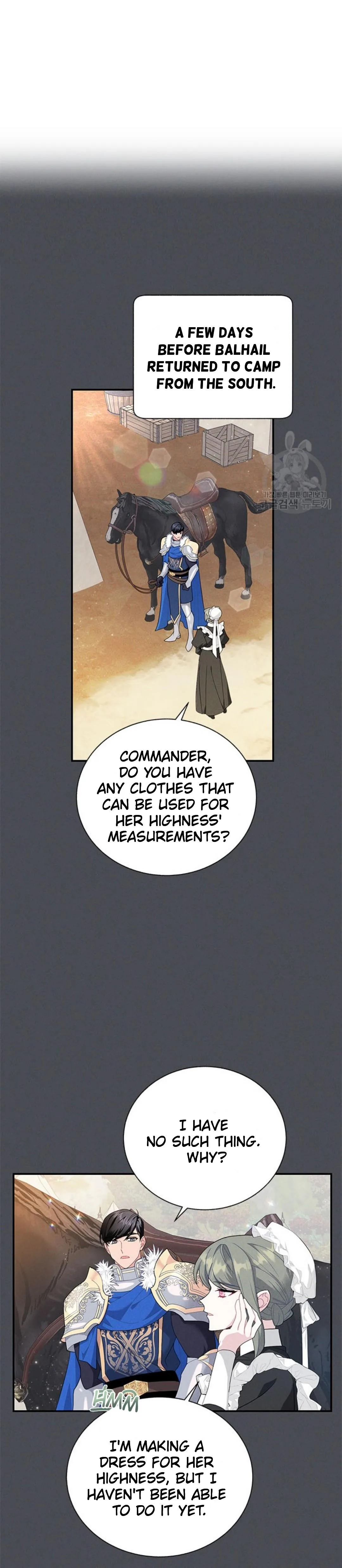 Cavier Falcon Princess Chapter 73 page 17