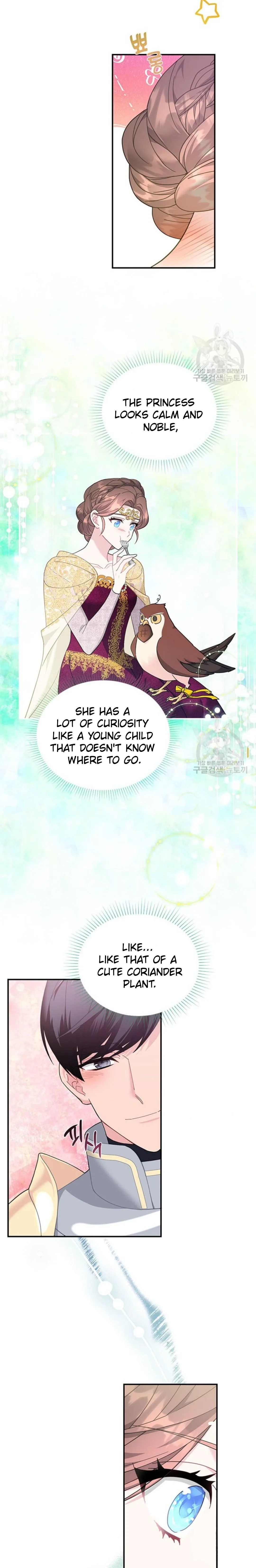 Cavier Falcon Princess Chapter 74 page 10