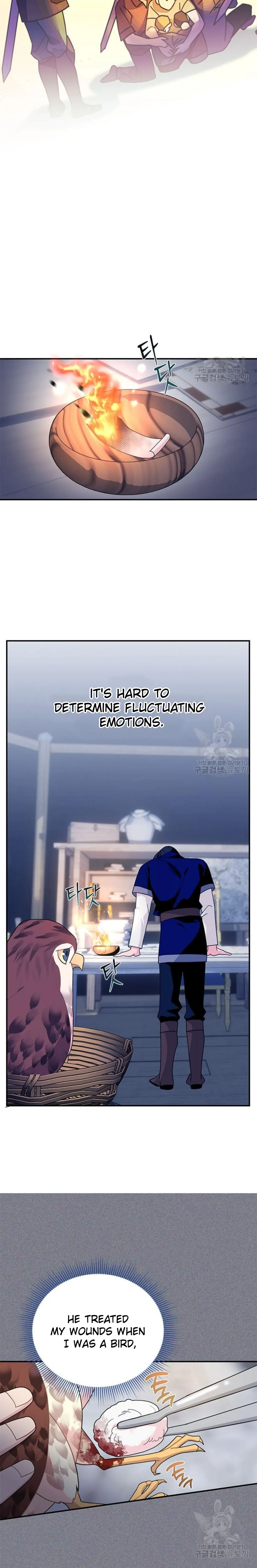 Cavier Falcon Princess Chapter 75 page 11