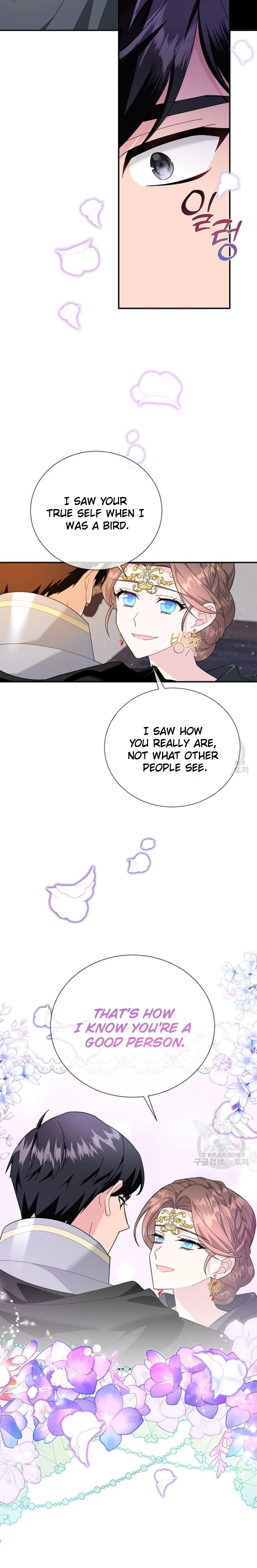 Cavier Falcon Princess Chapter 75 page 14