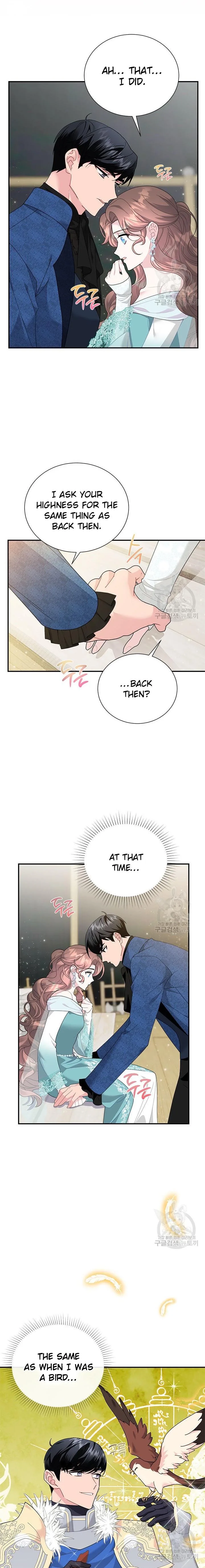 Cavier Falcon Princess Chapter 70 page 4