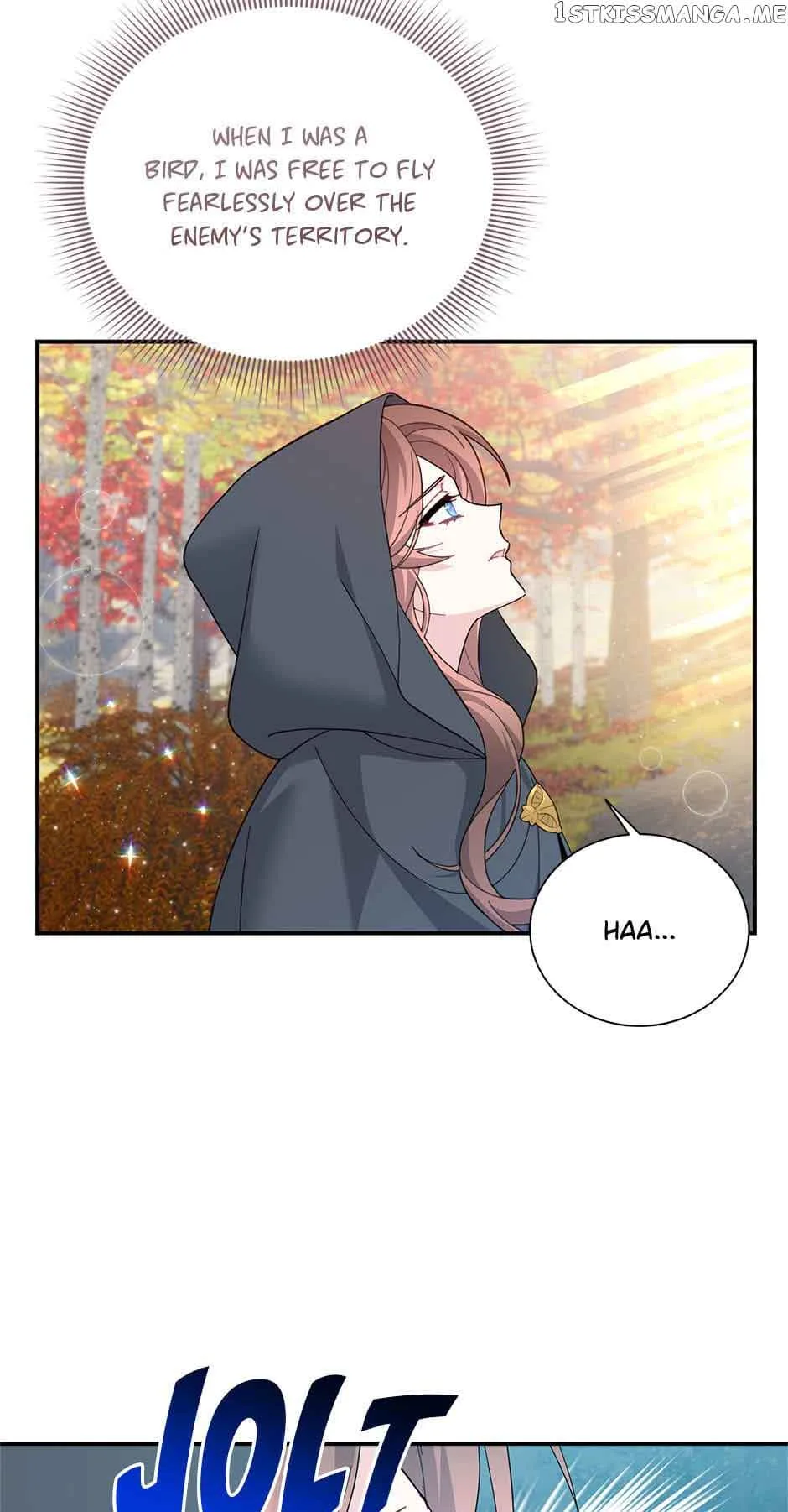 Cavier Falcon Princess Chapter 77 page 26