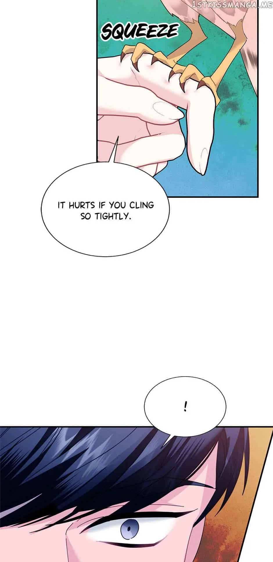 Cavier Falcon Princess Chapter 78 page 3