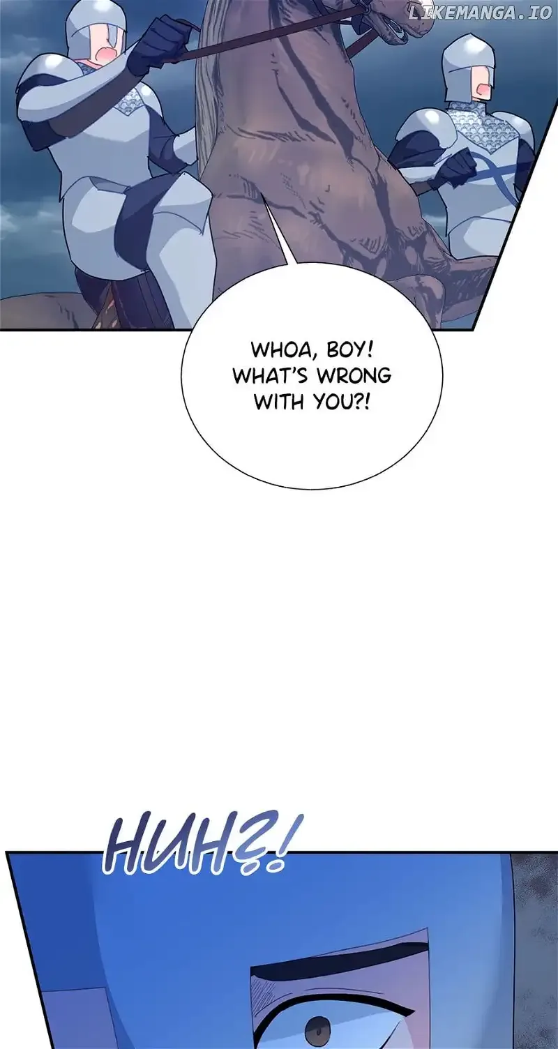 Cavier Falcon Princess Chapter 83 page 38