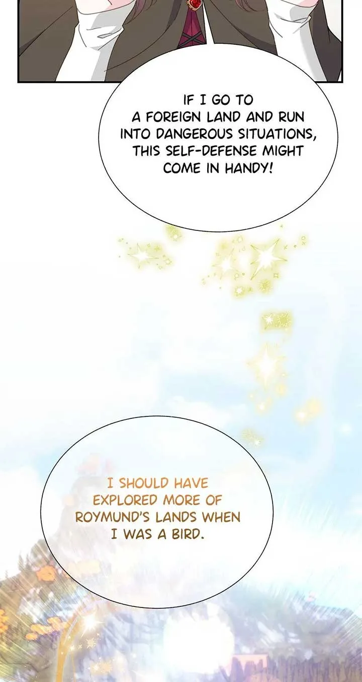 Cavier Falcon Princess Chapter 103 page 4