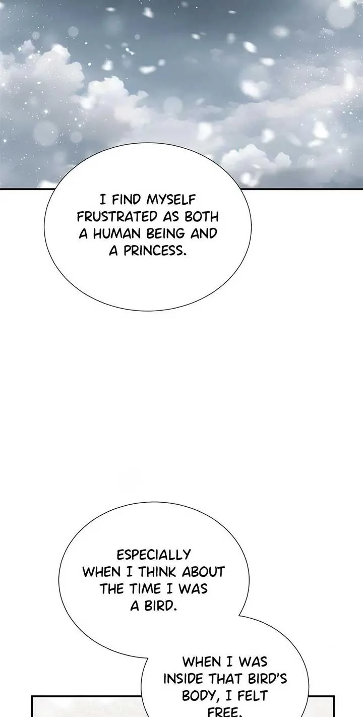 Cavier Falcon Princess Chapter 106 page 37