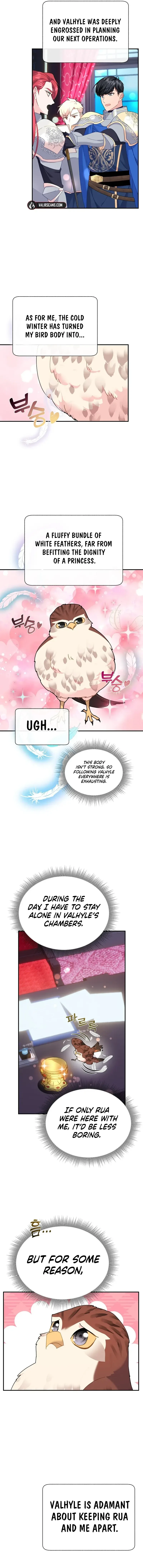 Cavier Falcon Princess Chapter 111 page 12
