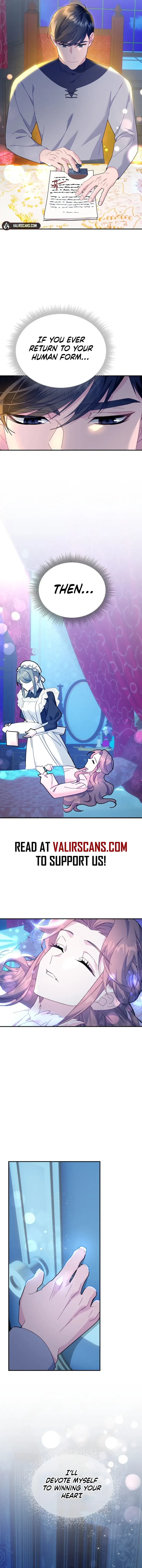 Cavier Falcon Princess Chapter 113 page 17