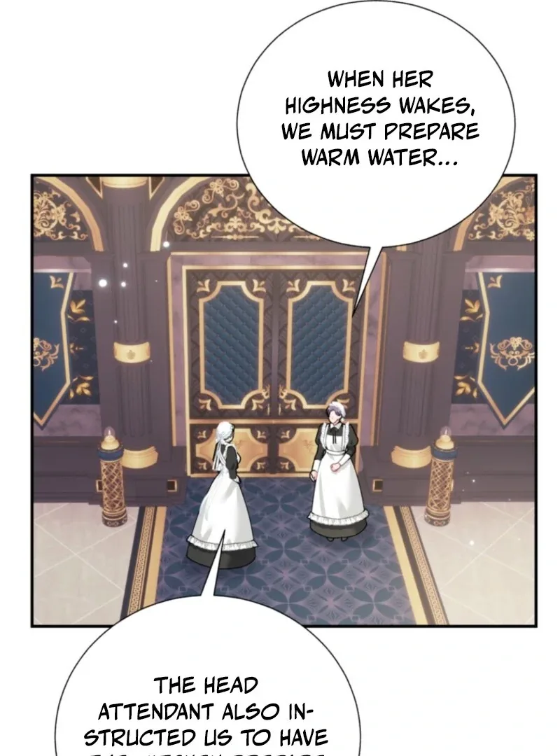 Cavier Falcon Princess Chapter 133 page 81