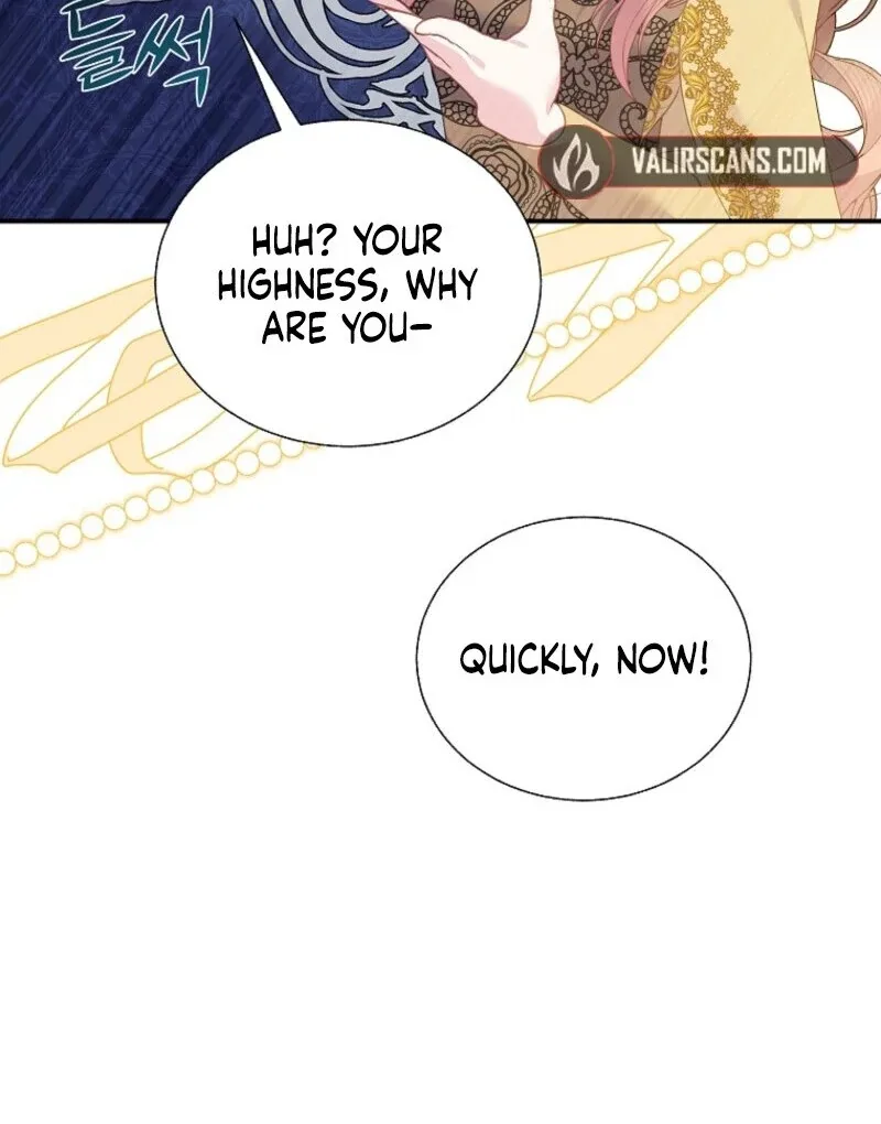 Cavier Falcon Princess Chapter 137 page 43