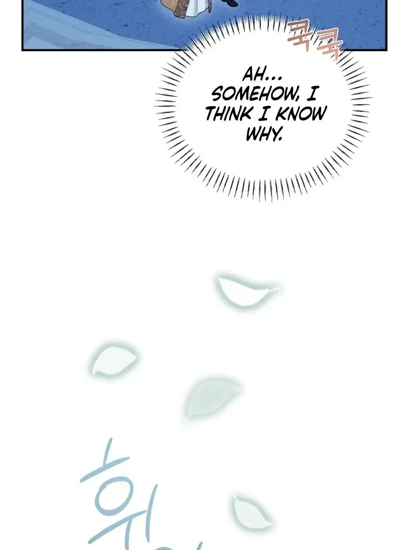 Cavier Falcon Princess Chapter 137 page 88