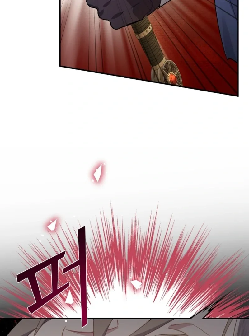 Cavier Falcon Princess Chapter 138 page 119
