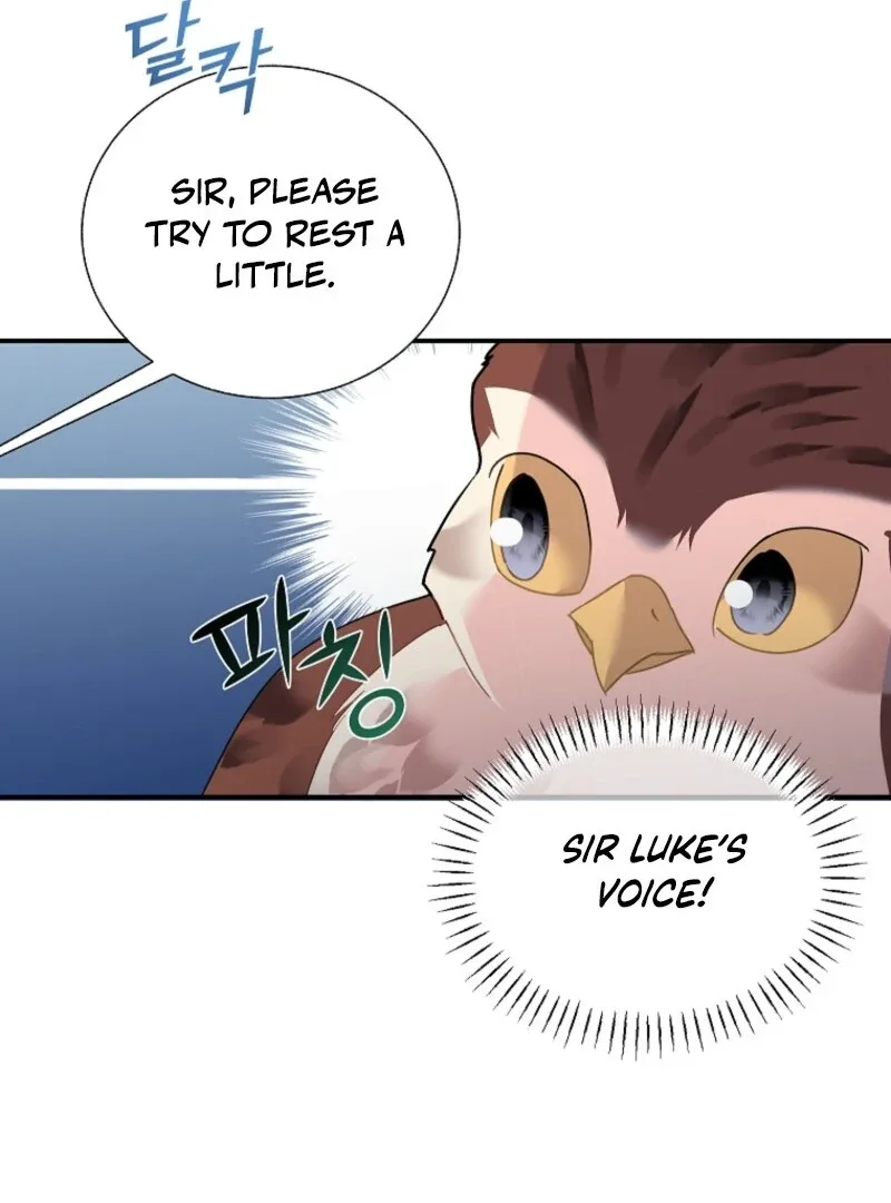Cavier Falcon Princess Chapter 145 page 24