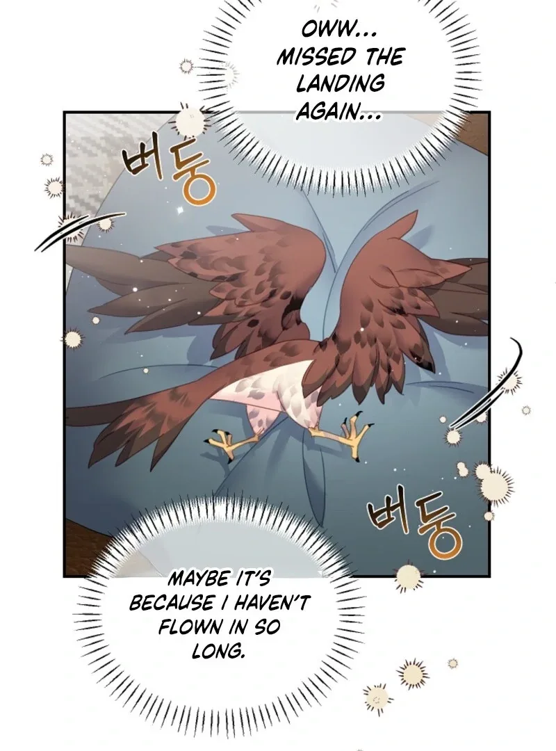 Cavier Falcon Princess Chapter 145 page 20