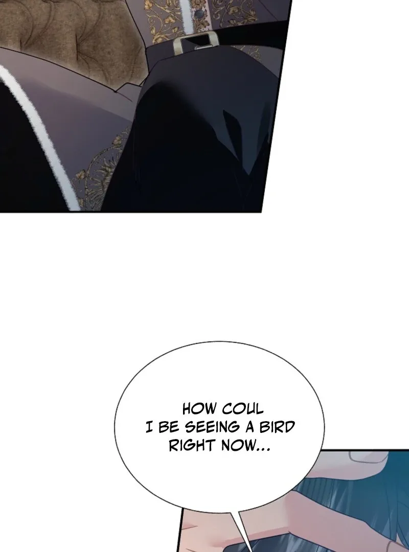 Cavier Falcon Princess Chapter 145 page 45