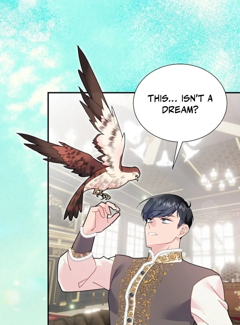 Cavier Falcon Princess Chapter 145 page 53