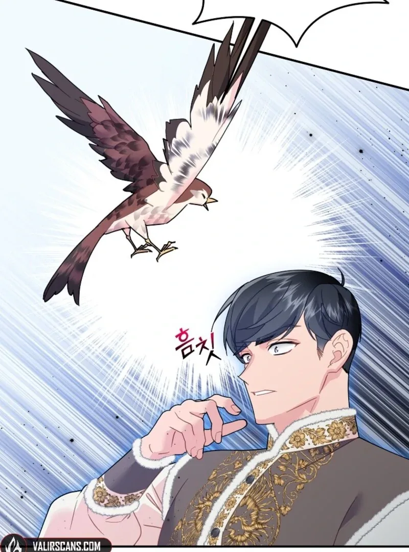 Cavier Falcon Princess Chapter 145 page 50