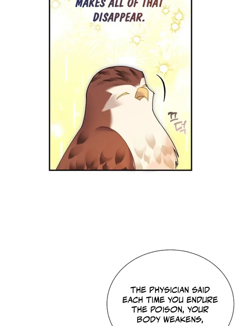 Cavier Falcon Princess Chapter 145 page 67