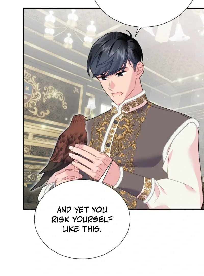 Cavier Falcon Princess Chapter 145 page 68