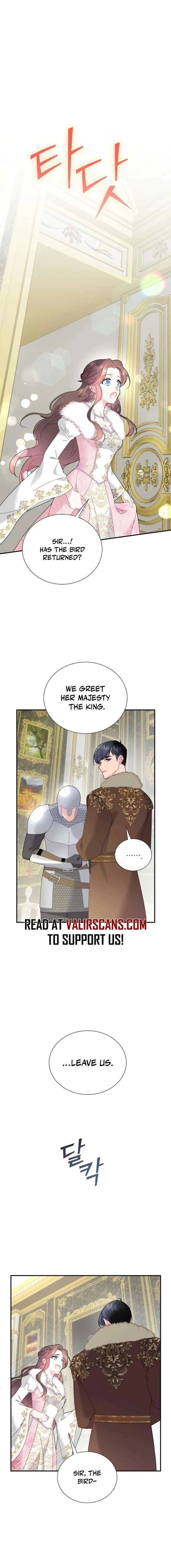 Cavier Falcon Princess Chapter 152 page 9