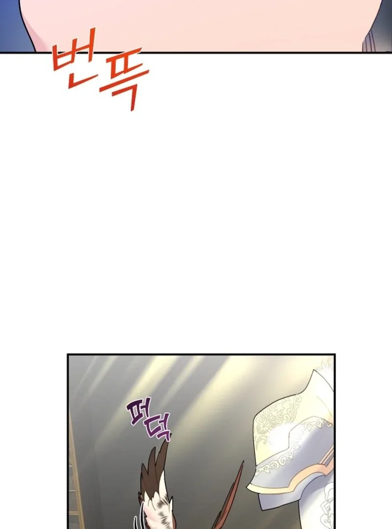 Cavier Falcon Princess Chapter 143 page 108