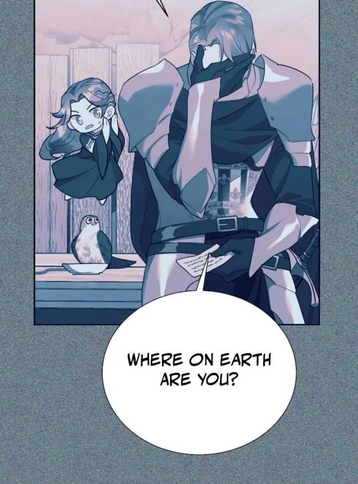 Cavier Falcon Princess Chapter 144 page 18