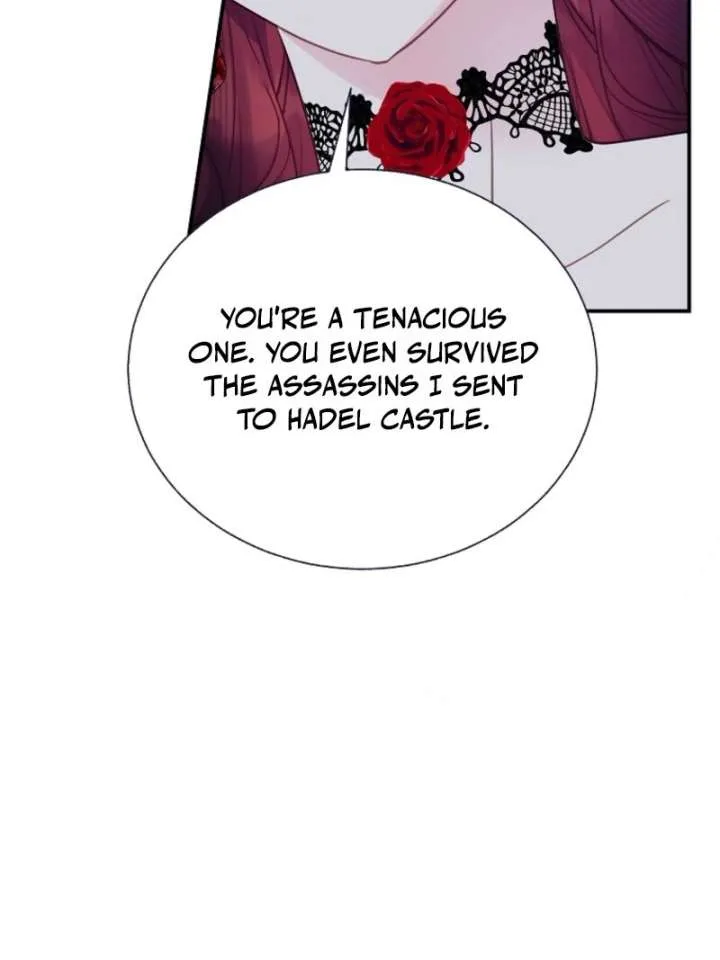 Cavier Falcon Princess Chapter 144 page 28