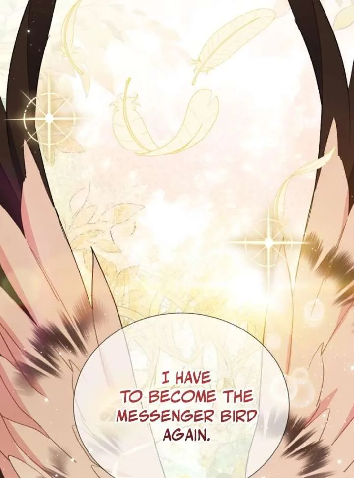 Cavier Falcon Princess Chapter 144 page 123