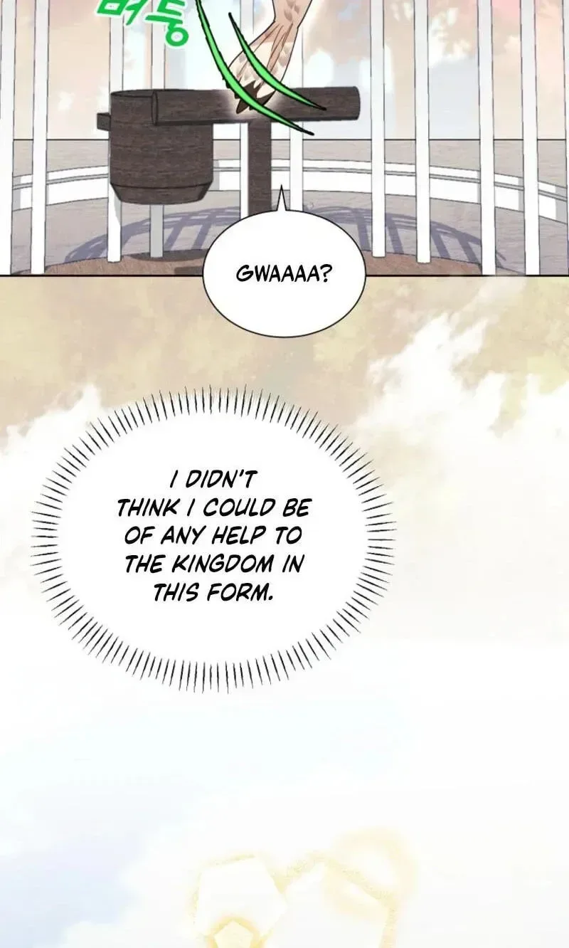 Cavier Falcon Princess Chapter 159 page 75