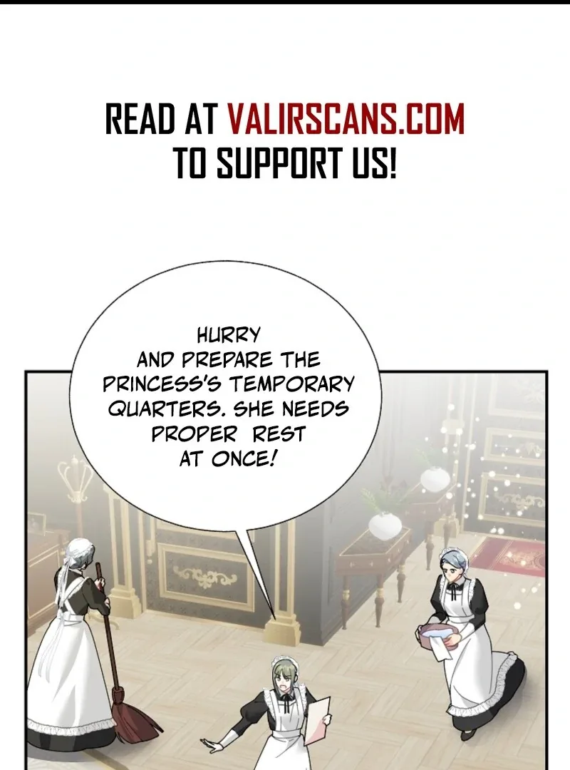 Cavier Falcon Princess Chapter 136 page 3