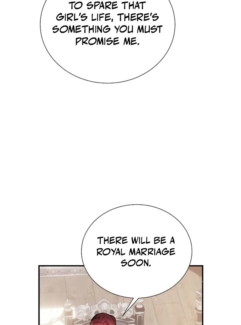 Cavier Falcon Princess Chapter 141 page 29