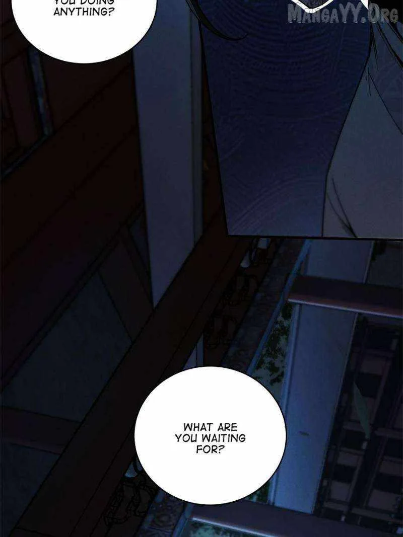Celebrating the Remaining Life Chapter 155 page 37