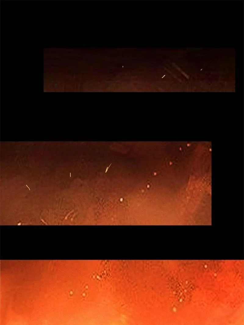 Celebrating the Remaining Life Chapter 174 page 11