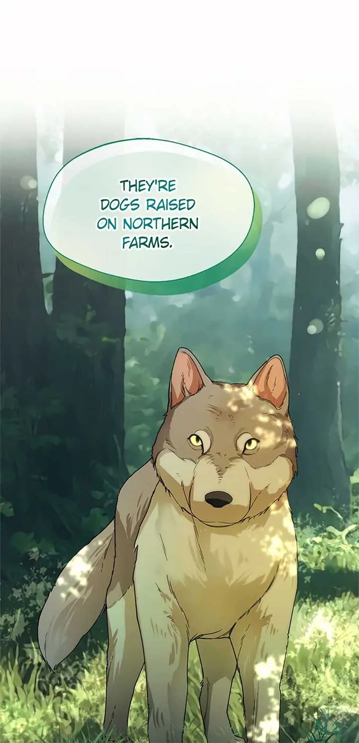 Choose your husband Carefully Chapter 23 page 59
