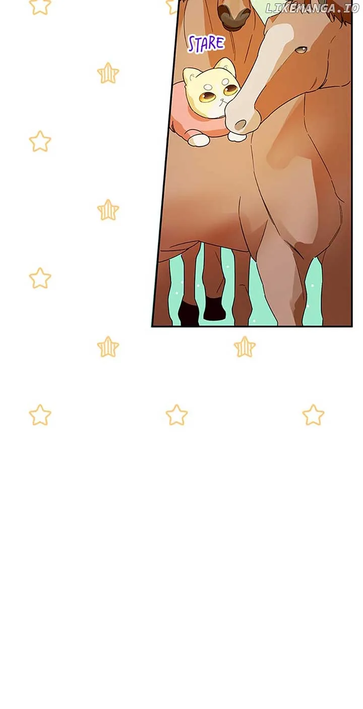 Choose your husband Carefully Chapter 34 page 13