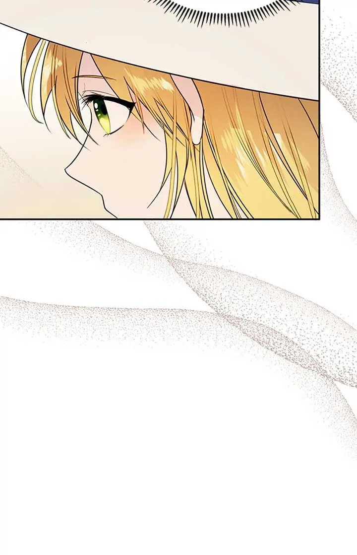 Choose your husband Carefully Chapter 47 page 66
