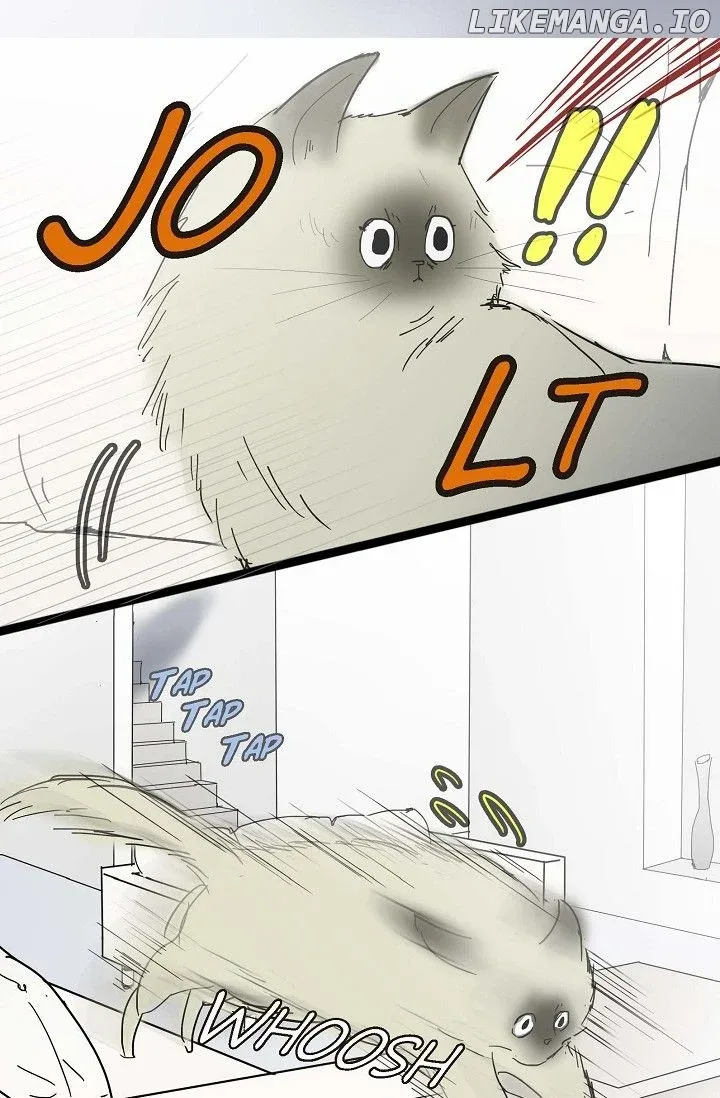 Clean with Passion for Now [Official] Chapter 12 page 8