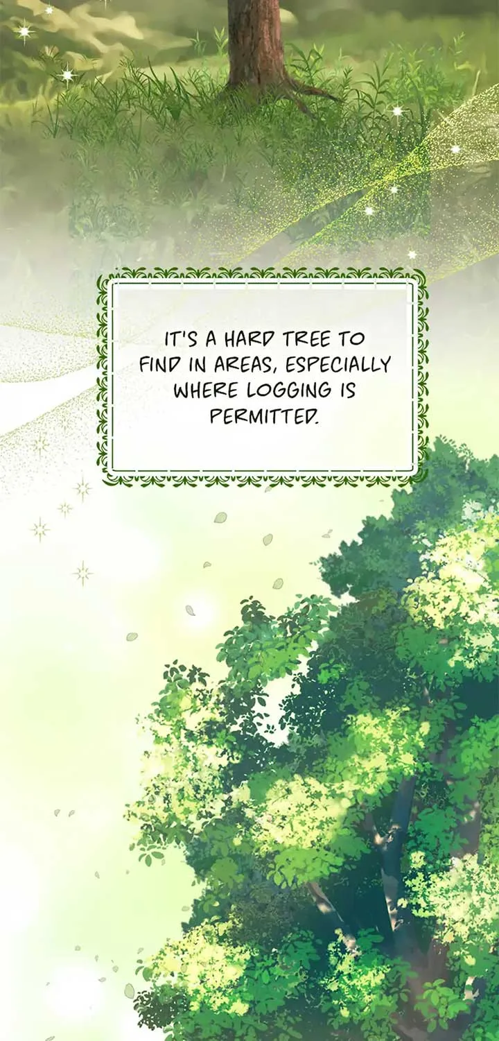 Choose your husband Carefully Chapter 46 page 62