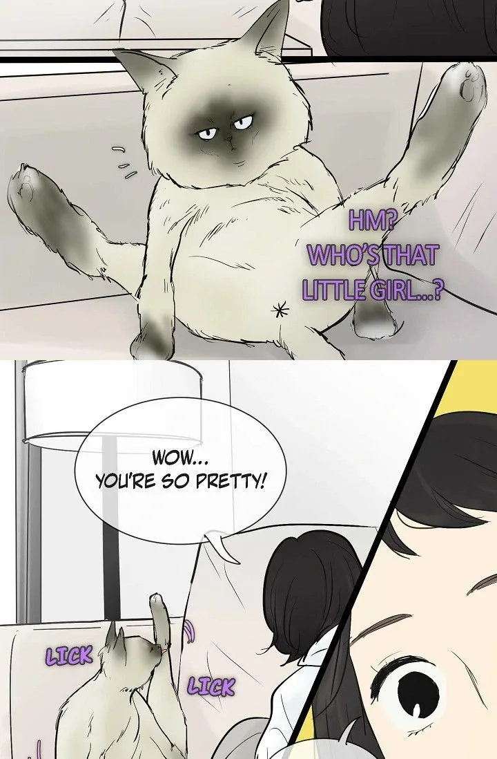 Clean with Passion for Now [Official] Chapter 37 page 29