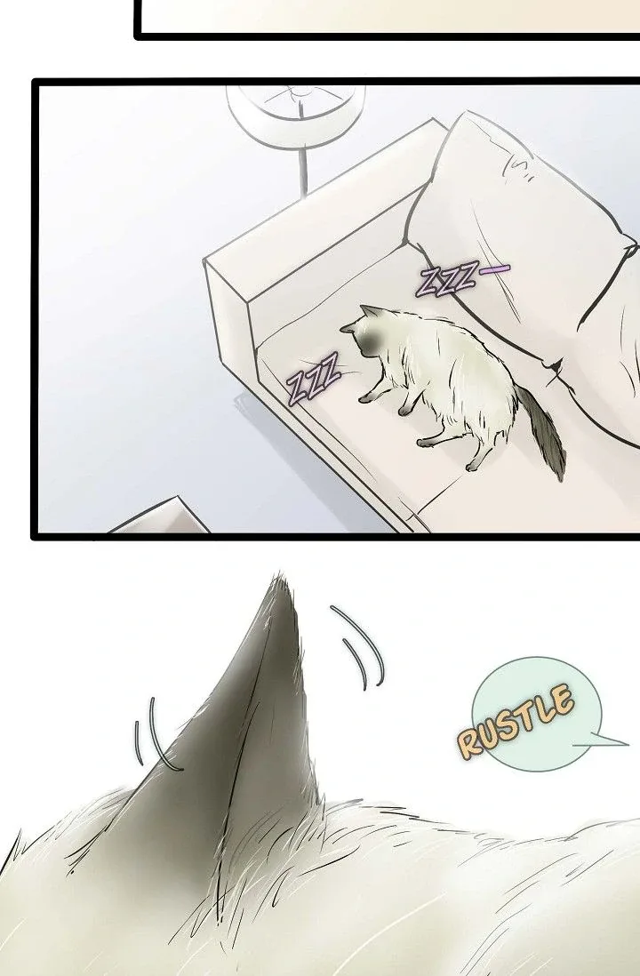 Clean with Passion for Now [Official] Chapter 43 page 9