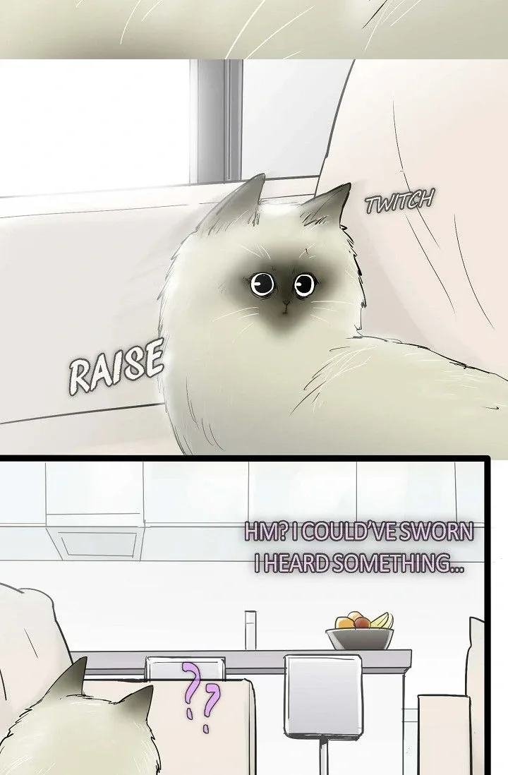 Clean with Passion for Now [Official] Chapter 43 page 10