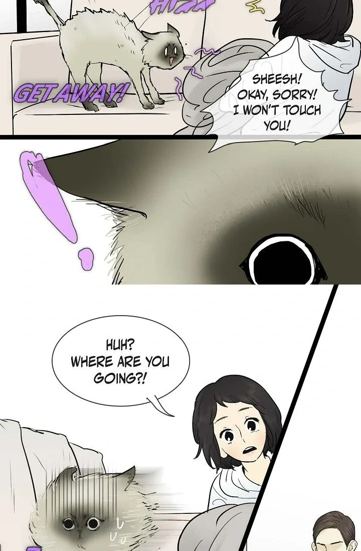 Clean with Passion for Now [Official] Chapter 37 page 31