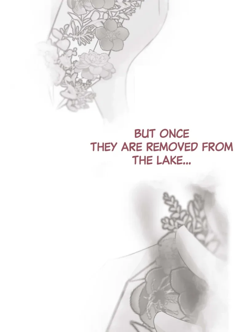Climb a Star Chapter 33 page 64