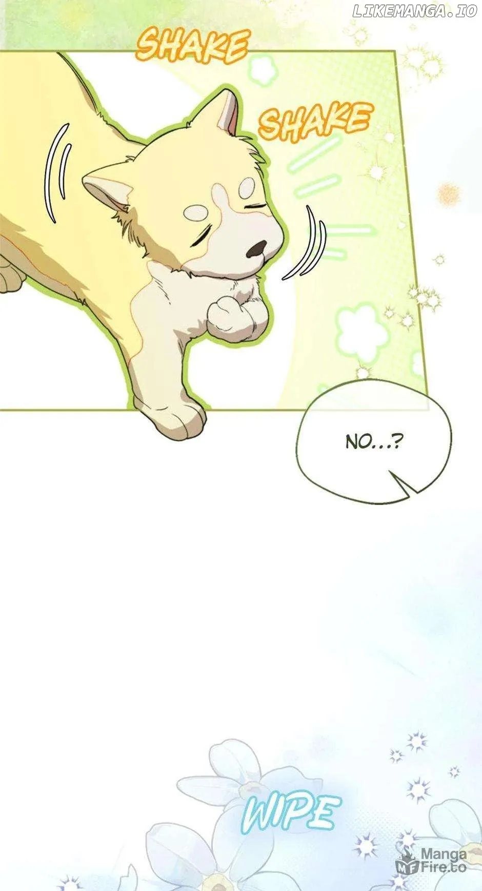 Choose your husband Carefully Chapter 72 page 13