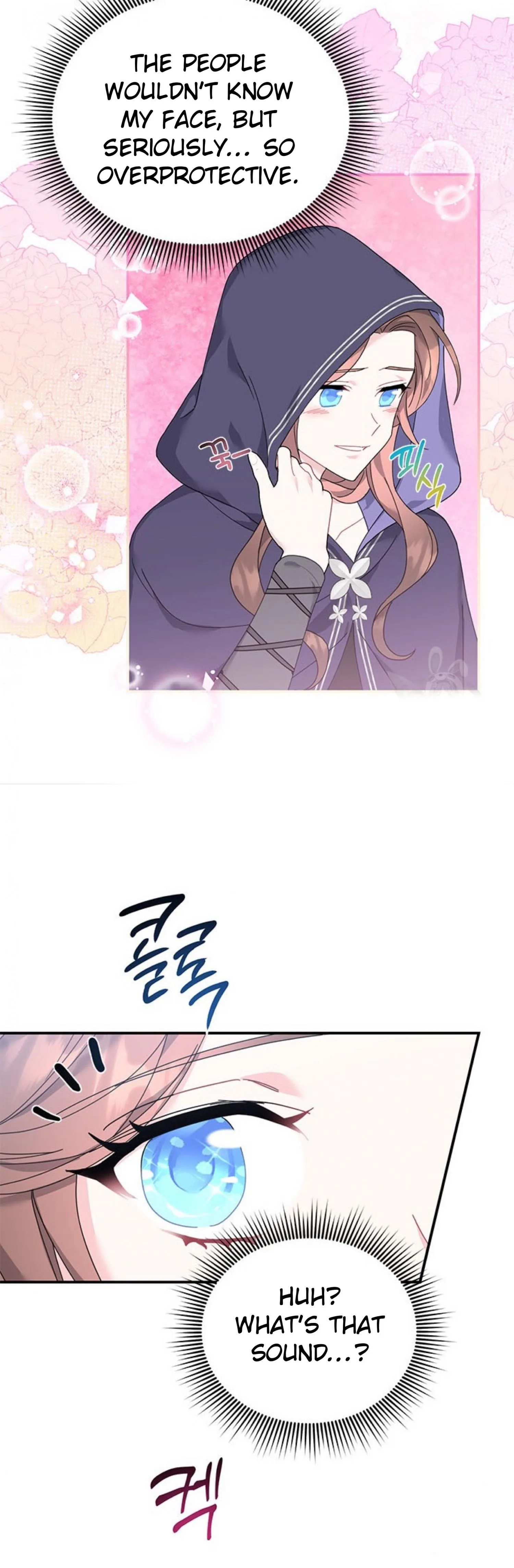Cavier Falcon Princess Chapter 66 page 28