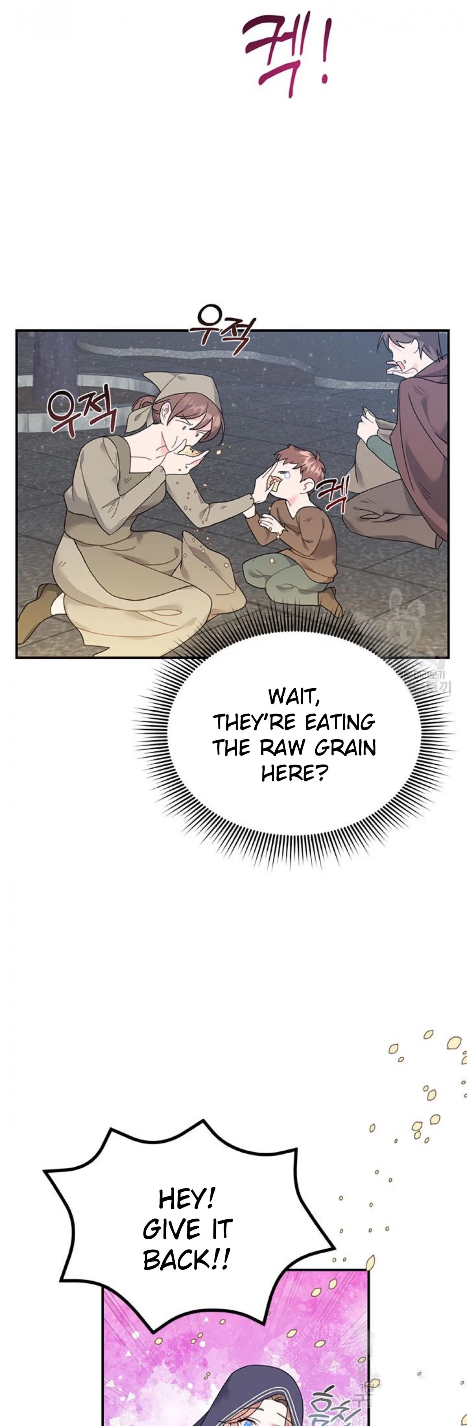 Cavier Falcon Princess Chapter 66 page 29