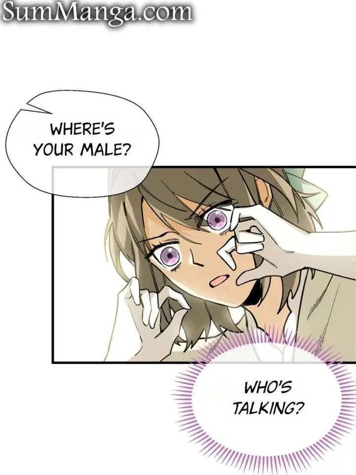 Clumsy Master, You’ve Crossed the Line! Chapter 20 page 39