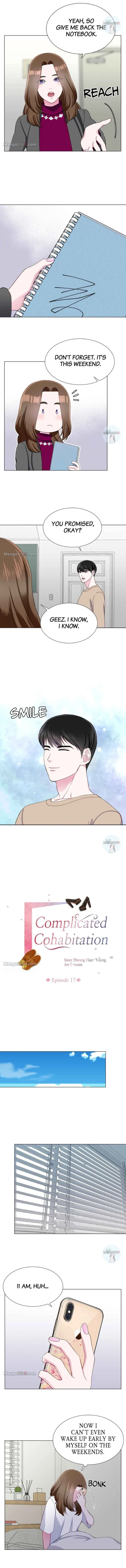 Complicated Cohabitation Chapter 17 page 3