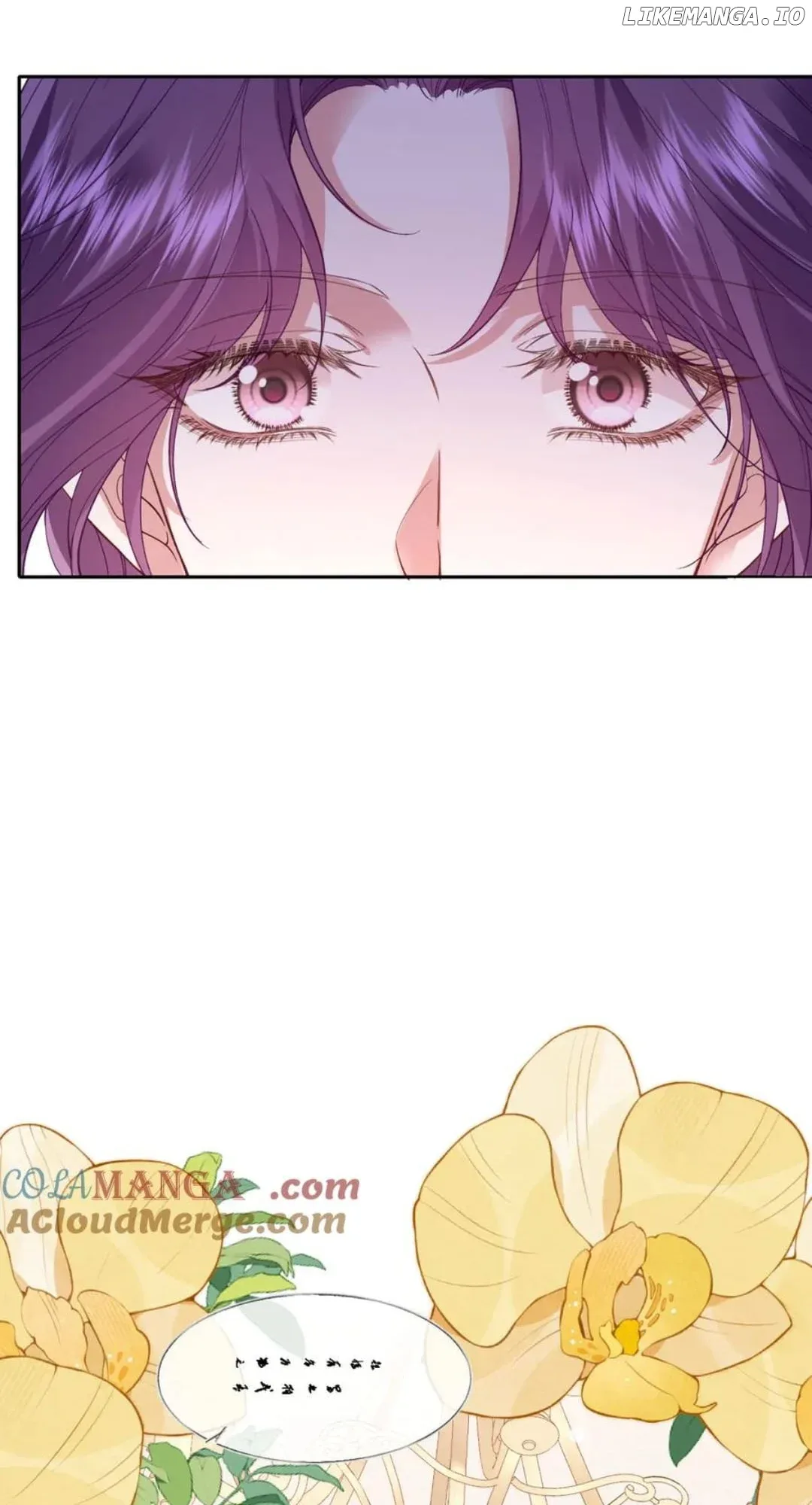 Confessing My Love to Him, the Treacherous One Chapter 41 page 17