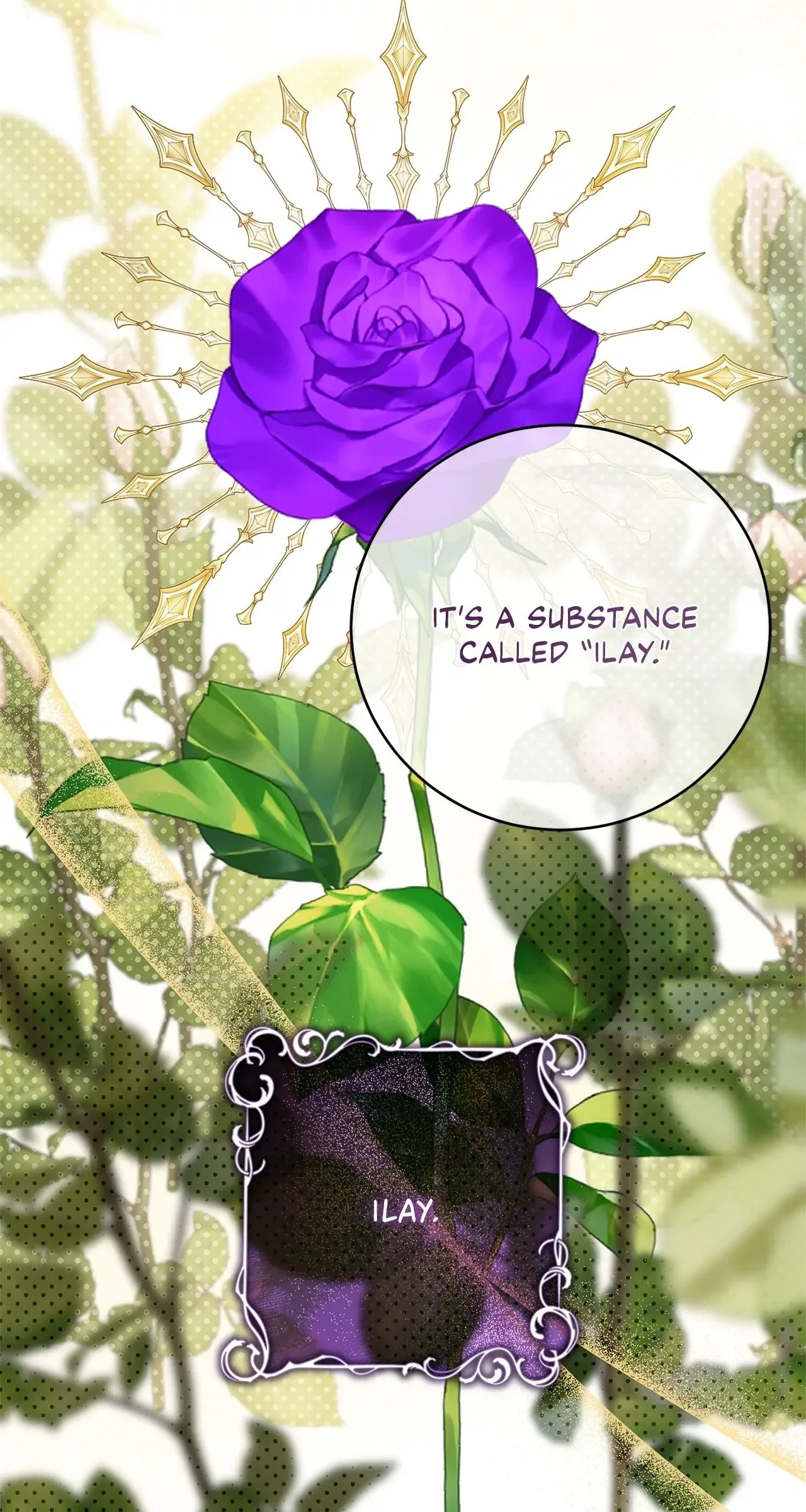 Contract Grand Duchess Chapter 42 page 75